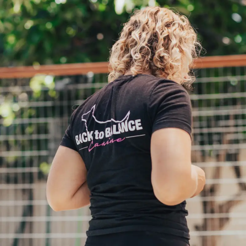 Get in touch to discuss a training program for you and your dog