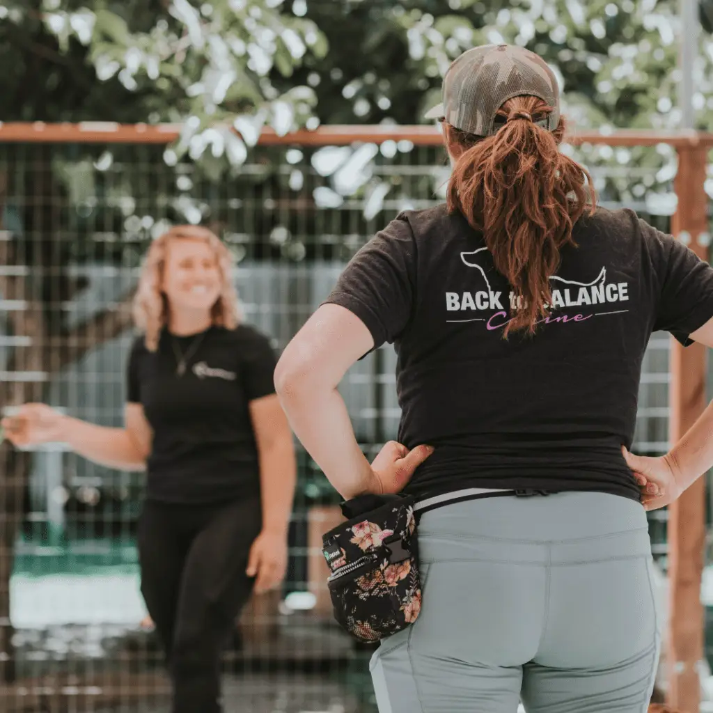 Dog training Knoxville