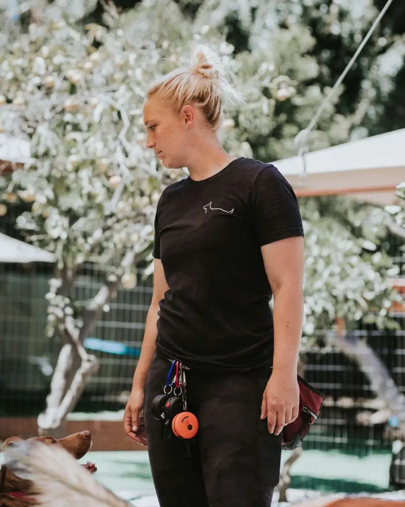 In our board and train programs, your dog will graduate from leash pressure to an E-collar